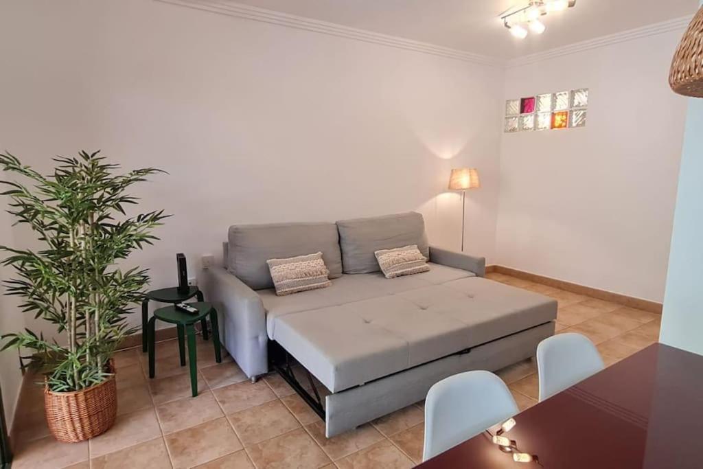 Apartmán Jardin Del Teide Puerto de la Cruz  Exteriér fotografie